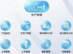 軟件開發(fā)中六西格瑪管理咨詢過程頭腦風暴法的實施